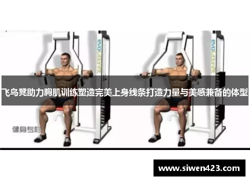 飞鸟凳助力胸肌训练塑造完美上身线条打造力量与美感兼备的体型
